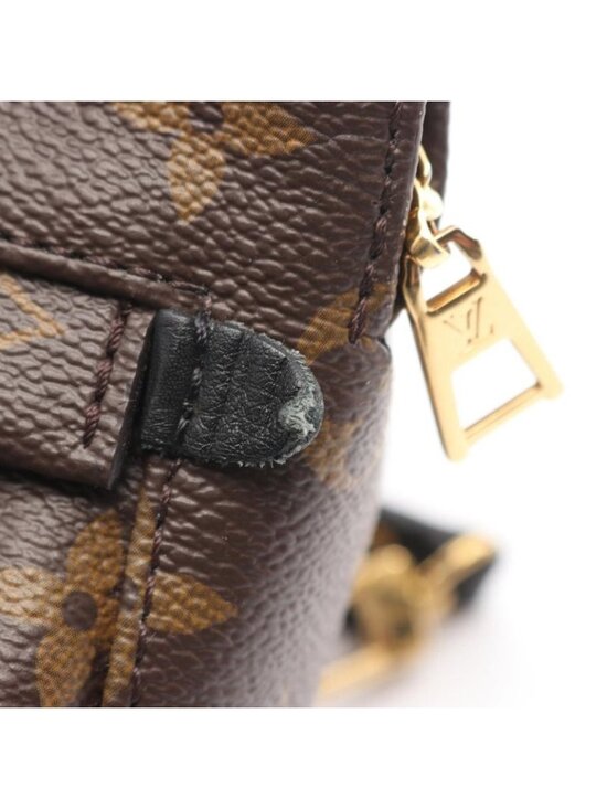 Louis Vuitton Backpack Palm Spring Mini Canvas Leather